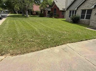 Terrance K.'s lawn maintenance service result