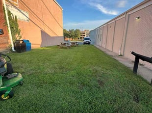 Kimber D.'s lawn care service result