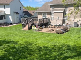 Melani W.'s Lawn Mowing service result