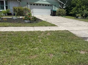 Peter T.'s turf maintenance service result
