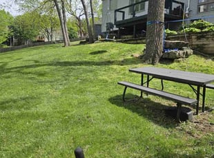 Mindy M.'s grass maintenance service result