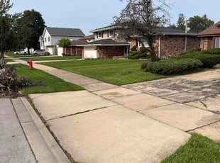 Colleen L.'s turf maintenance service result