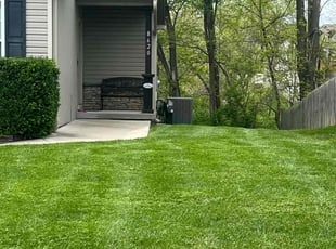 Debbie S.'s Bush Trimming service result