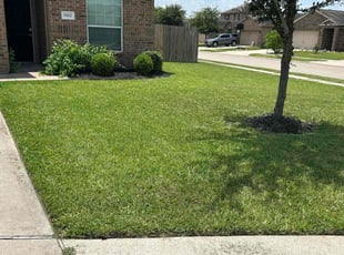 Ken H.'s lawn service service result