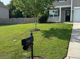 Justin L.'s turf care service result
