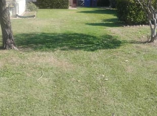 Tasha T.'s lawn service service result