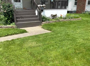 Erica G.'s turf care service result