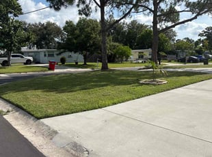 Matthew M.'s turf maintenance service result