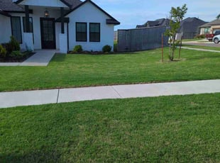 Subbu K.'s turf care service result