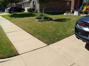Kevin M.'s turf care service result