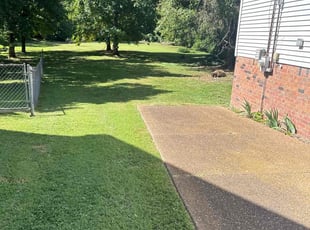 Norman R.'s grass maintenance service result