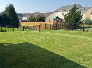 Kevin B.'s turf care service result