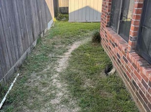 Angelia A.'s turf care service result