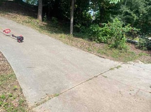 Cheryl M.'s grass cutting service result