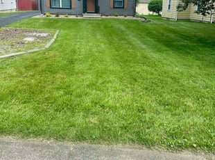 Jeanette C.'s grass cutting service result