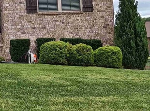 Brooke B.'s lawn service service result