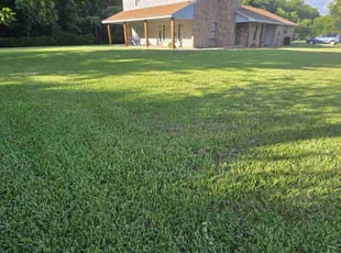 Yolanda S.'s grass cutting service result