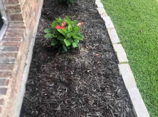 Sarah B.'s Flower Bed Weeding service result