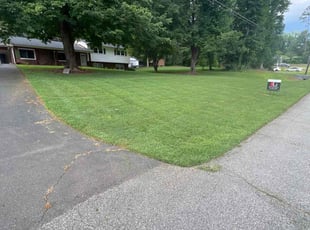 Dipali A.'s lawn care service result