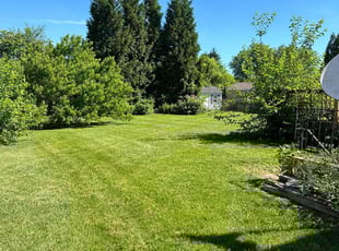 Laura M.'s turf care service result