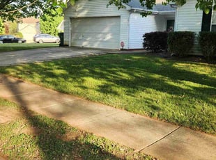 Karen R.'s yard care service result