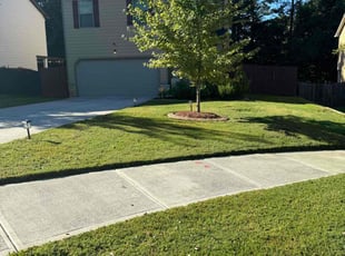 Awnee S.'s grass cutting service result