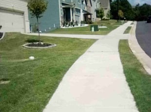 Marcos R.'s lawn care service result
