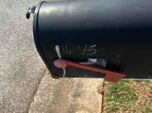 Mandy C.'s grass cutting service result