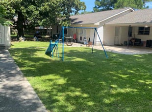 Aldo A.'s grass cutting service result