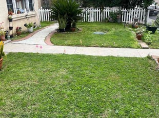 Wanzie P.'s turf care service result