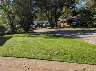 Tim N.'s lawn care services service result