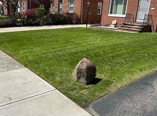 Kelly M.'s lawn care service result