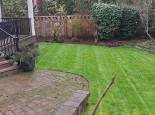 Greg H.'s lawn care services service result