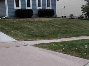 Kia F.'s turf care service result