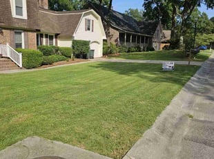 Dolly W.'s turf care service result