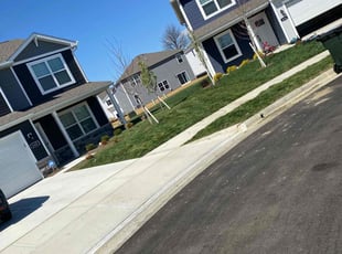 Nadene S.'s lawn care service result