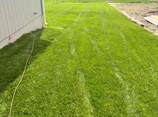 Catherine B.'s lawn maintenance service result