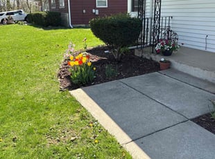 Cory S.'s Flower Bed Weeding service result