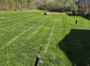 Shameka G.'s lawn maintenance service result
