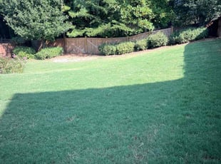 Mike T.'s lawn maintenance service result