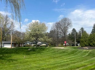 Kim G.'s turf maintenance service result