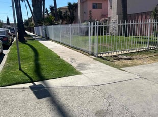 Lav G.'s Long Grass Cleanup service result