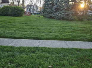Susan S.'s lawn maintenance service result
