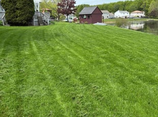 Tristan J.'s lawn care service result