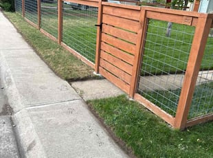 Marelys R.'s lawn maintenance service result
