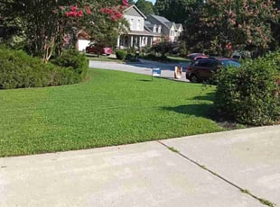 Kirshner J.'s lawn service service result