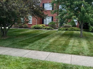 Linda M.'s residential landscaping service result