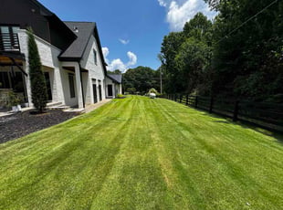 Elizabeth B.'s lawn care service result