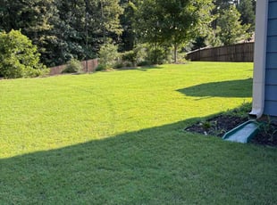 John C.'s turf maintenance service result