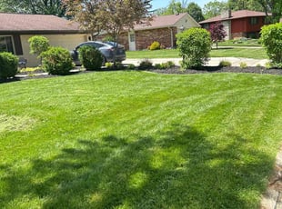 Meena S.'s grass maintenance service result